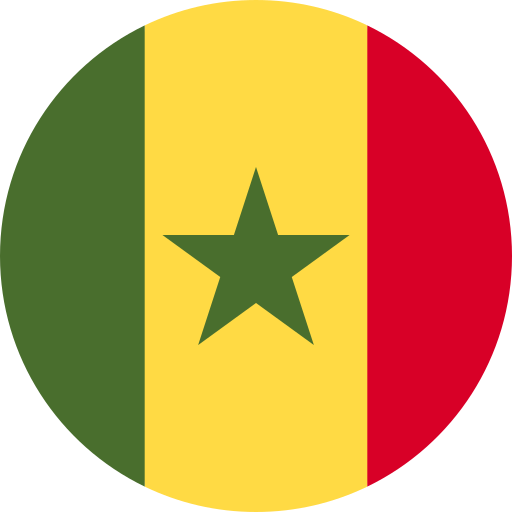 Senegal Fahne